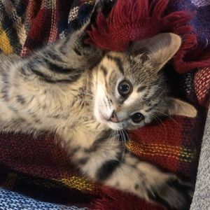 Meet your Posher, Chloe